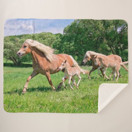 Haflinger Horses with Cute Foals Run Funny Photo - Sherpa Blanket