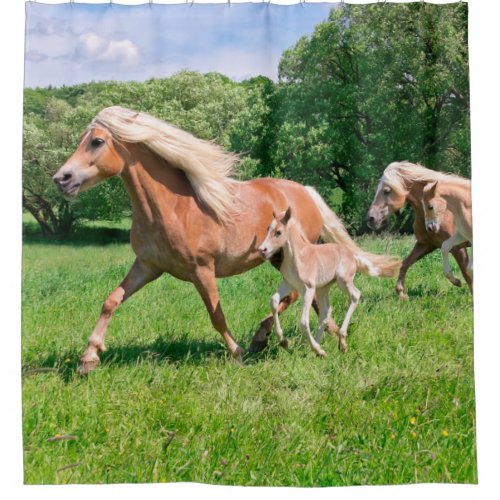 Haflinger Horses with Cute Foals Run Funny Photo _ Shower Curtain