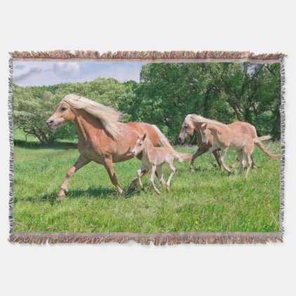 Haflinger Horses with Cute Foals Run Funny Photo - Throw Blanket