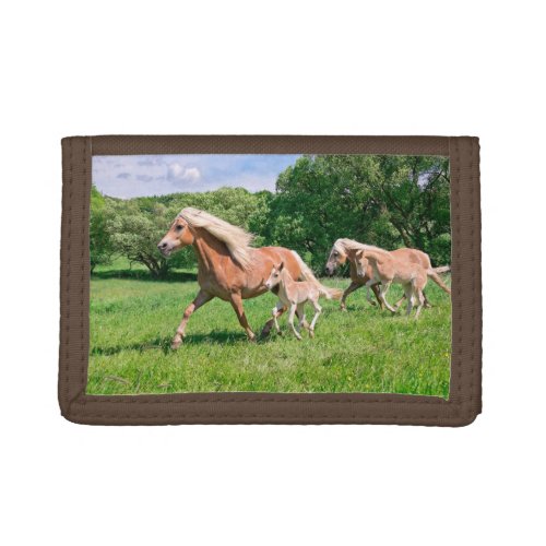 Haflinger Horses with Cute Foals Run Funny Photo _ Trifold Wallet