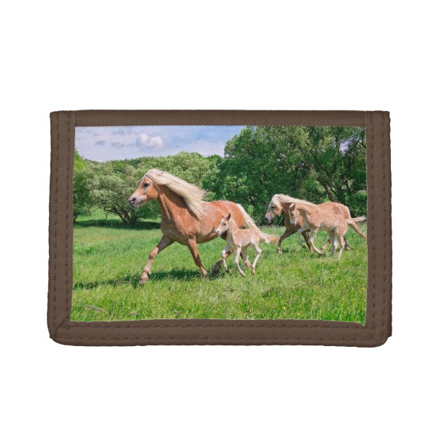 Haflinger Horses with Cute Foals Run Funny Photo - Trifold Wallet (Front)