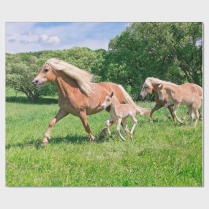 Haflinger Horses with Cute Foals Run Funny Photo * Wrapping Paper