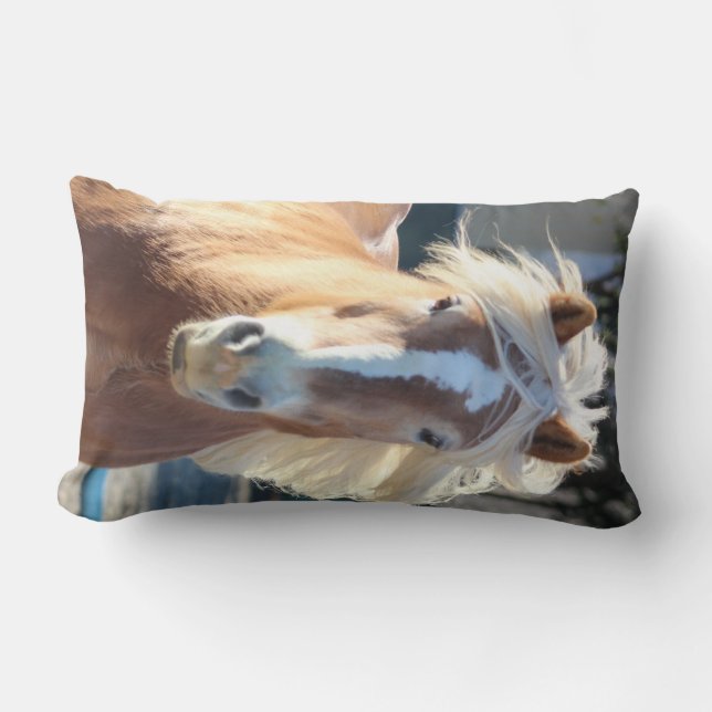 Haflinger Lumbar Pillow (Front)