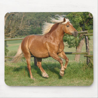 Haflinger mousepad