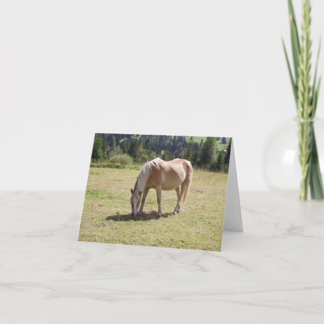 Haflinger Palomino Pony in Summer Pasture Photo Card (Front)