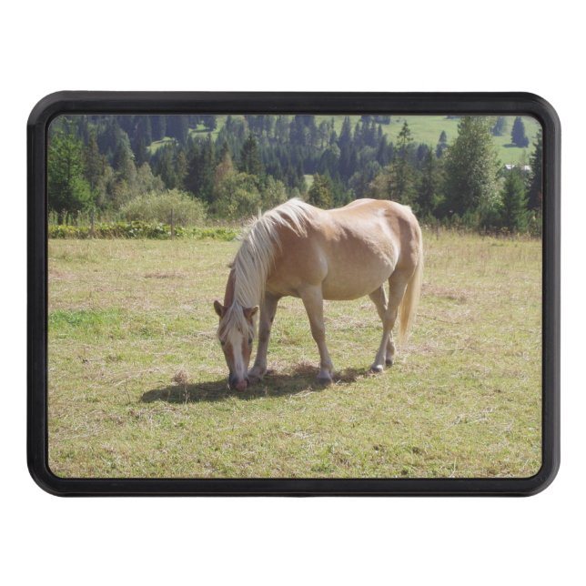 Haflinger Palomino Pony in Summer Pasture Photo Hitch Cover (Front)