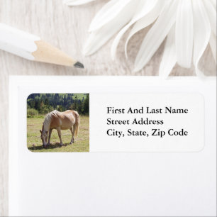 Haflinger Palomino Pony in Summer Pasture Photo Label