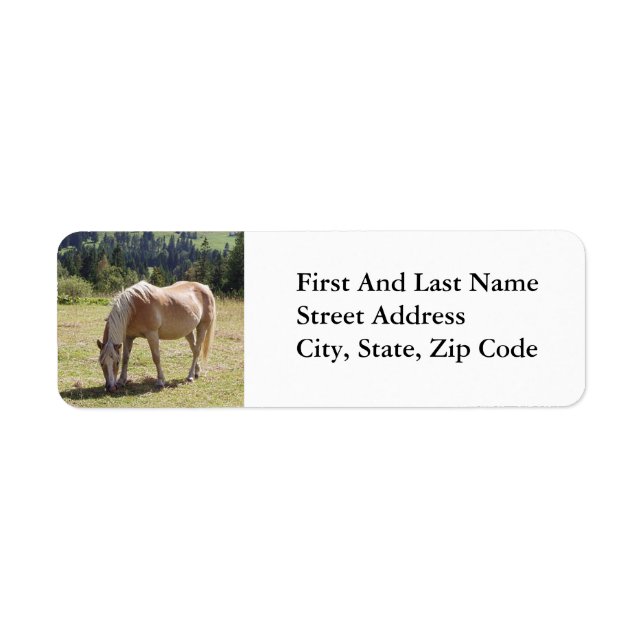 Haflinger Palomino Pony in Summer Pasture Photo Label (Front)
