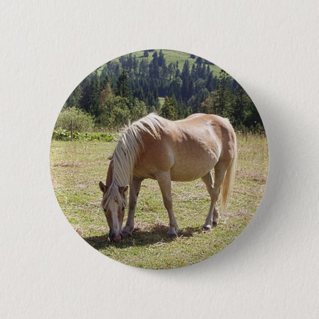 Haflinger Palomino Pony in Summer Pasture Photo Pinback Button (Front)