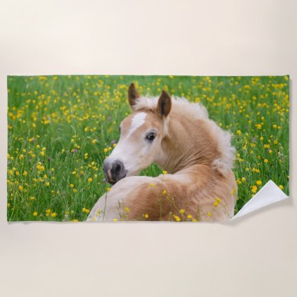 Haflinger Pony Horse Cute Foal in Flowerbed Photo Beach Towel