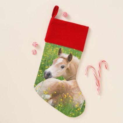 Haflinger Pony Horse Cute Foal in Flowerbed Photo Christmas Stocking