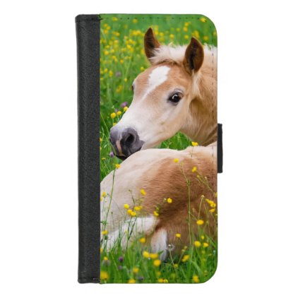 Haflinger Pony Horse Cute Foal in Flowerbed Photo iPhone 8/7 Wallet Case