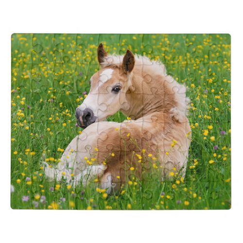 Haflinger Pony Horse Cute Foal in Flowerbed Photo Jigsaw Puzzle