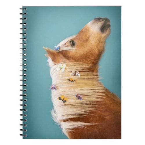 Haflinger Pony on a blue background Notebook