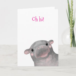 Haggis the cute baby hippo 'Oh hi!' card