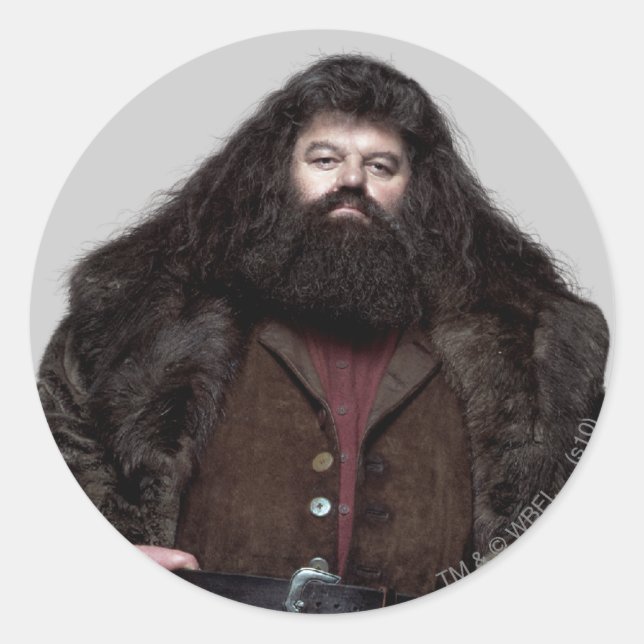 Hagrid and Dog Classic Round Sticker (Front)