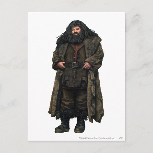 Hagrid Postcard