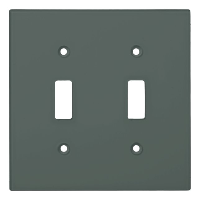 Hague Blue Light Switch Cover (Front)