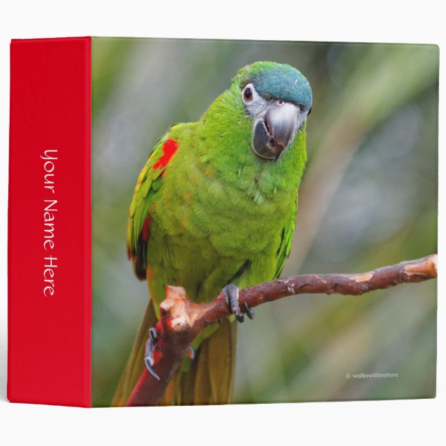 Hahn's Mini Macaw / Red-Shouldered Macaw 3 Ring Binder (Front/Spine)