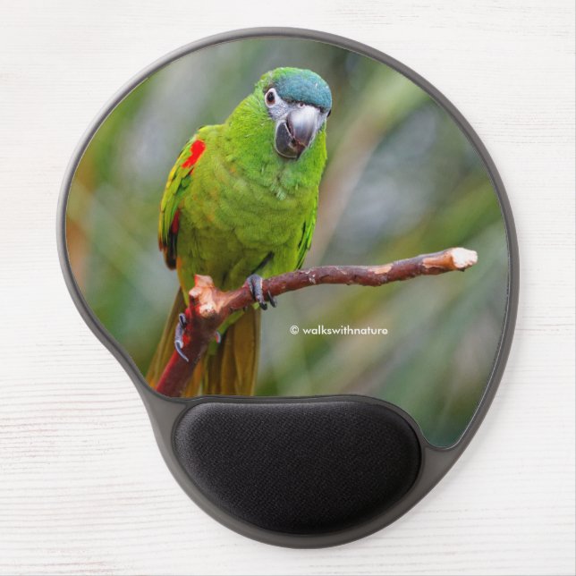 Hahn's Mini Macaw / Red-Shouldered Macaw Gel Mouse Pad (Front)