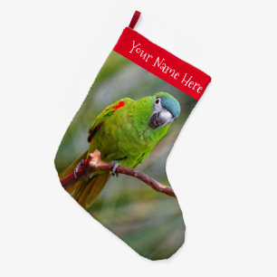 Hahn's Mini Macaw / Red-Shouldered Macaw Large Christmas Stocking