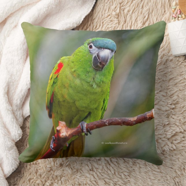 Hahn's Mini Macaw / Red-Shouldered Macaw Throw Pillow (Blanket)
