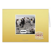 HAI MOM!!! (Front Horizontal)