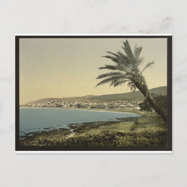 Haifa in the 1890's postcard (Front)