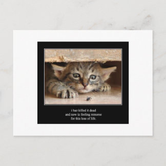 haiku cat 12 postcard