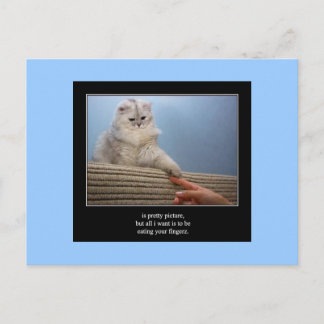 haiku cat 14 postcard