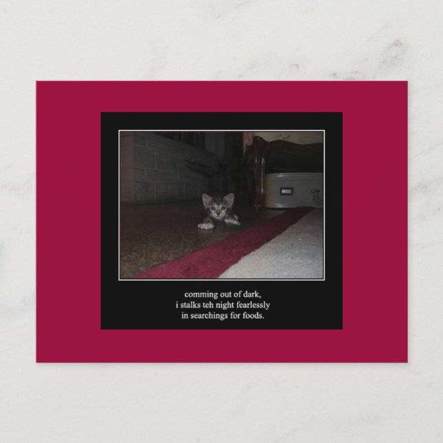 haiku cat 1 postcard (Front)