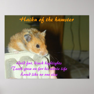 Haiku of the Hamster 1 Poster