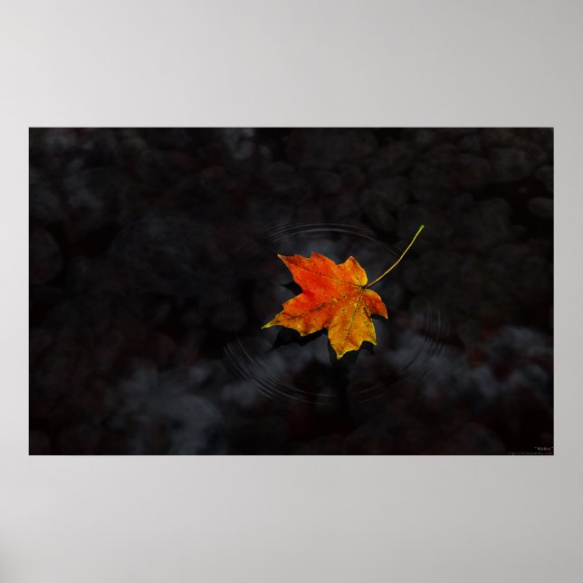 Haiku Poster (Front)