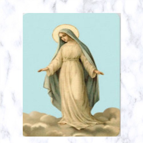 Hail Holy Queen Virgin Mary Prayer Card