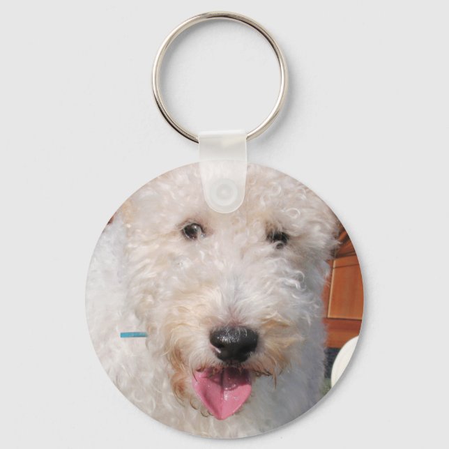 Hailey - Wire Fox Terrier Photo-8 Keychain (Front)