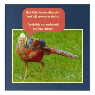 HAIR COLOR GONE BAD (STRANGE MULTI-COLORED BIRD) ACRYLIC PRINT