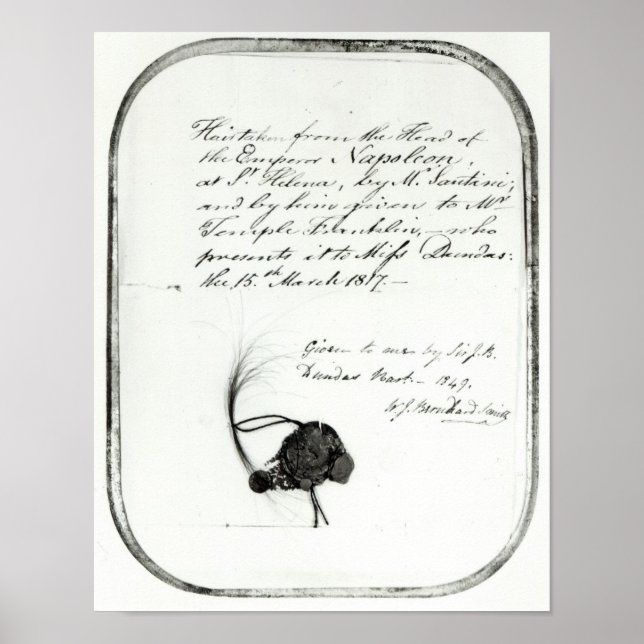 Hair cut from the head of Emperor Napoleon Poster (Front)