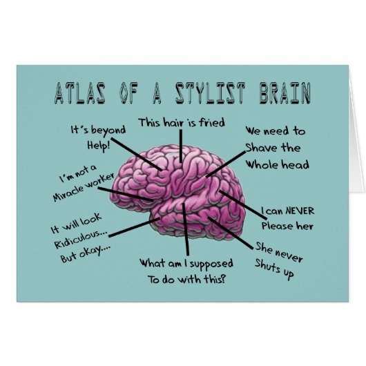 Hair Stylist Gifts "Atlas of a Stylist Brain" (Front Horizontal)