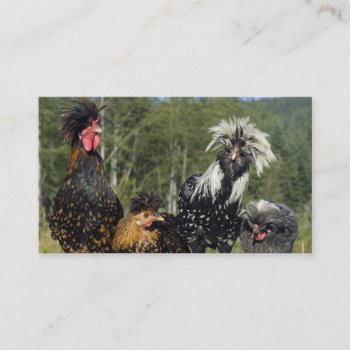 Hair Stylist / Hatchery - Two Sided Business Card by oinkpix at Zazzle