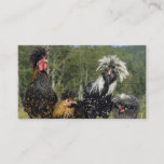 Hair Stylist / Hatchery - Two Sided Business Card at Zazzle