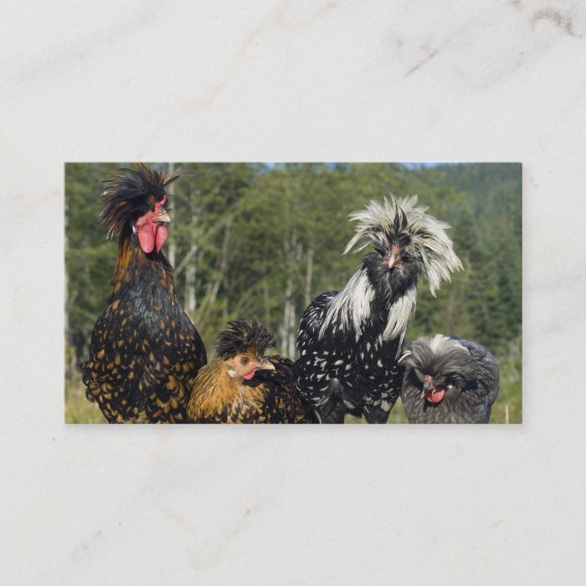 Hair Stylist / Hatchery - Two Sided Business Card (Front)