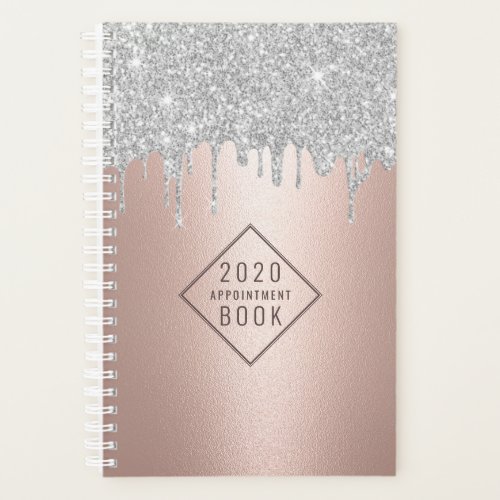 Hair Stylist Silver Drips Rose Gold Appointment Planner