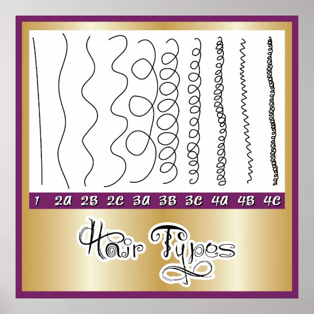 Hair Types1 Poster (Front)