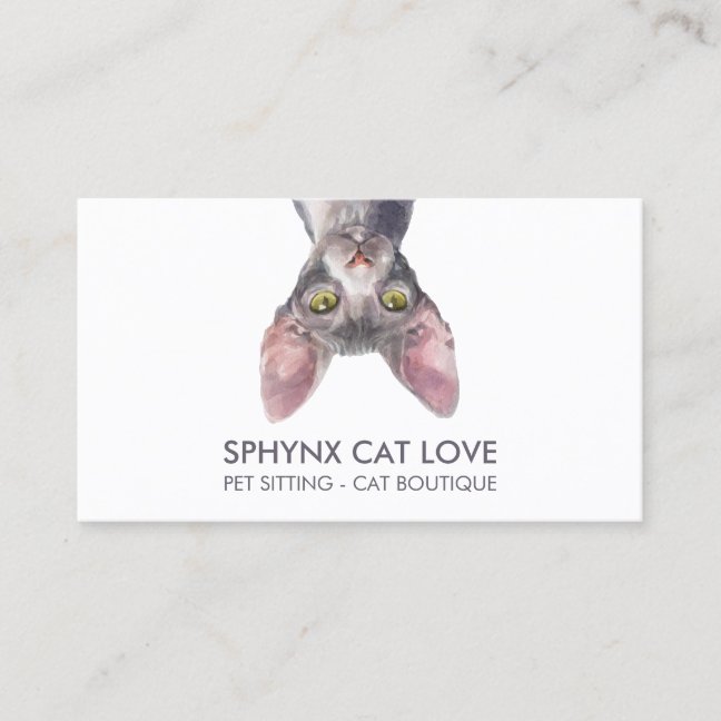 Hairless Cat Skin Care Specialist Business Card