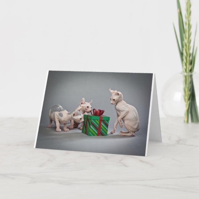 HAIRLESS CAT'S CHRISTMAS HOLIDAY CARD (Front)