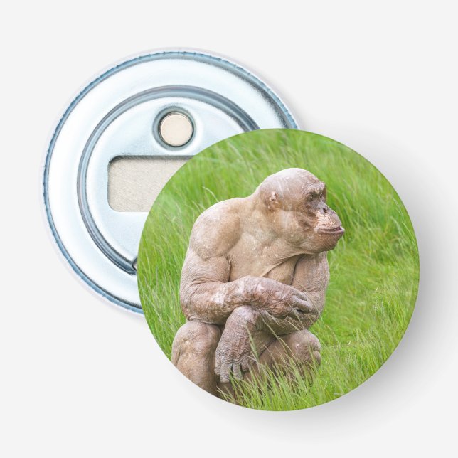 Hairless Chimpanzee Bottle Opener (Front)