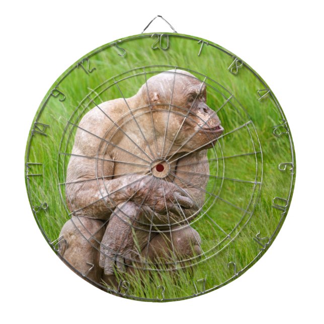 Hairless Chimpanzee Dart Board (Front)