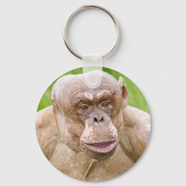 Hairless Chimpanzee Magnet Keychain (Front)