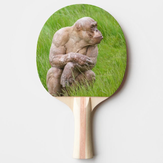 Hairless Chimpanzee Ping Pong Paddle (Front)