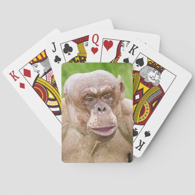 Hairless Chimpanzee Poker Cards (Back)